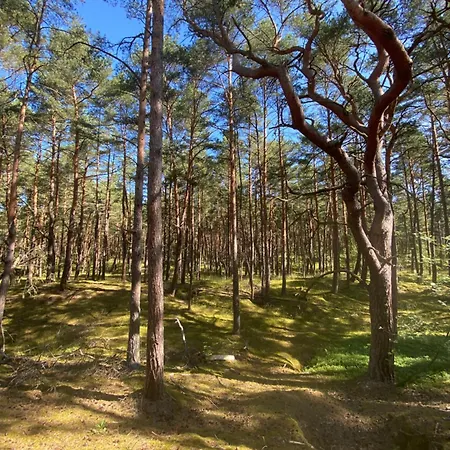 Appartement Sobiechill Gdańsk