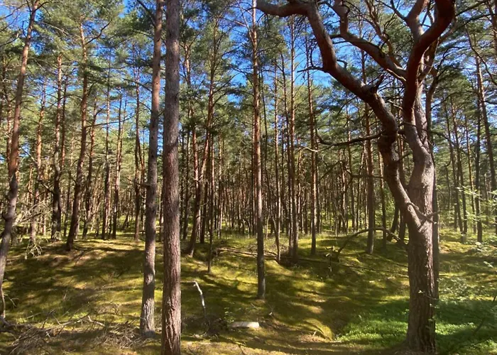 Διαμέρισμα Sobiechill Γκντανσκ